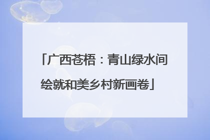 广西苍梧：青山绿水间绘就和美乡村新画卷
