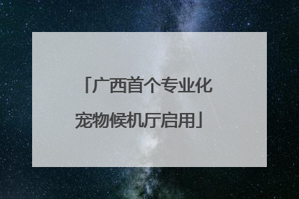 广西首个专业化宠物候机厅启用