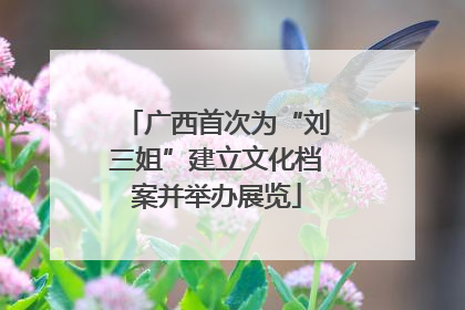 广西首次为“刘三姐”建立文化档案并举办展览