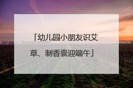 幼儿园小朋友识艾草、制香囊迎端午