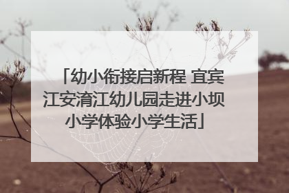 幼小衔接启新程 宜宾江安淯江幼儿园走进小坝小学体验小学生活
