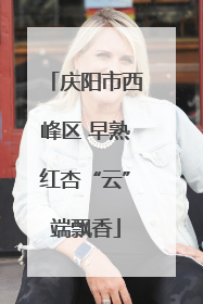 庆阳市西峰区 早熟红杏“云”端飘香