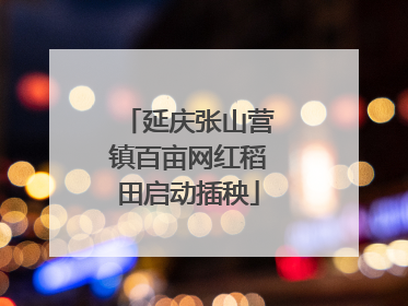 延庆张山营镇百亩网红稻田启动插秧