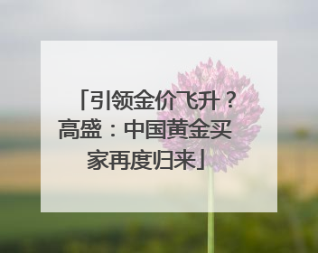 引领金价飞升？高盛：中国黄金买家再度归来