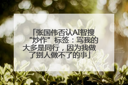 张国伟否认AI智搜“炒作”标签：骂我的大多是同行，因为我做了别人做不了的事