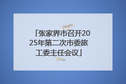 张家界市召开2025年第二次市委旅工委主任会议