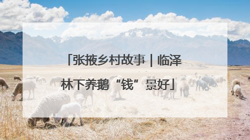 张掖乡村故事｜临泽林下养鹅“钱”景好