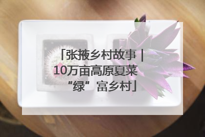 张掖乡村故事｜10万亩高原夏菜“绿”富乡村