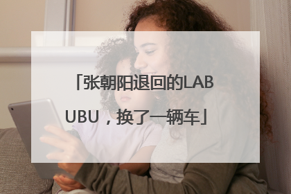 张朝阳退回的LABUBU，换了一辆车