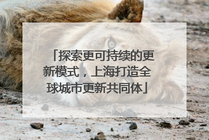 探索更可持续的更新模式，上海打造全球城市更新共同体