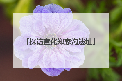 探访宣化郑家沟遗址