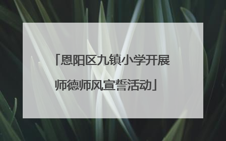 恩阳区九镇小学开展师德师风宣誓活动