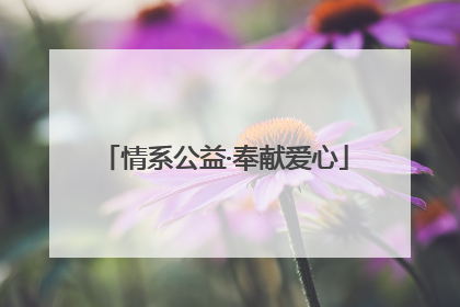 情系公益·奉献爱心