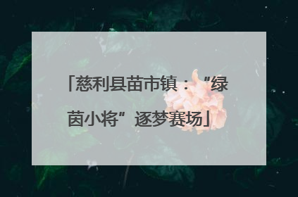 慈利县苗市镇：“绿茵小将”逐梦赛场
