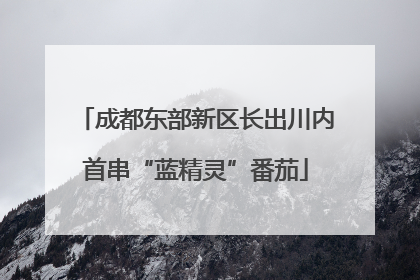 成都东部新区长出川内首串“蓝精灵”番茄