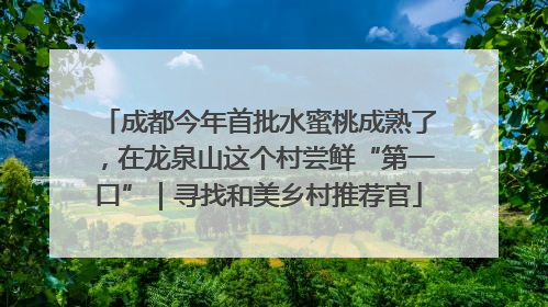成都今年首批水蜜桃成熟了，在龙泉山这个村尝鲜“第一口”｜寻找和美乡村推荐官
