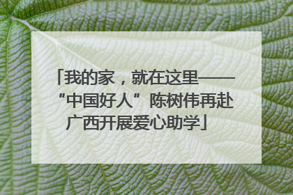 我的家，就在这里——“中国好人”陈树伟再赴广西开展爱心助学