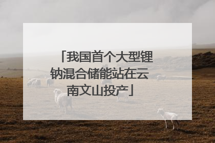 我国首个大型锂钠混合储能站在云南文山投产