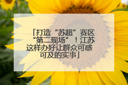 打造“苏超”赛区“第二现场”！江苏这样办好让群众可感可及的实事