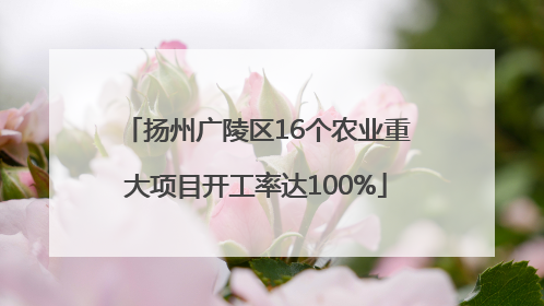 扬州广陵区16个农业重大项目开工率达100%