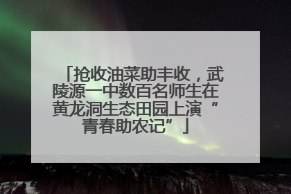 抢收油菜助丰收，武陵源一中数百名师生在黄龙洞生态田园上演“青春助农记”