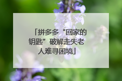 拼多多“回家的钥匙”破解走失老人难寻困境