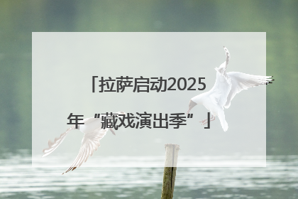 拉萨启动2025年“藏戏演出季”