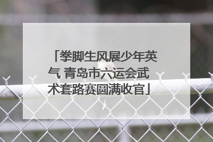 拳脚生风展少年英气 青岛市六运会武术套路赛圆满收官
