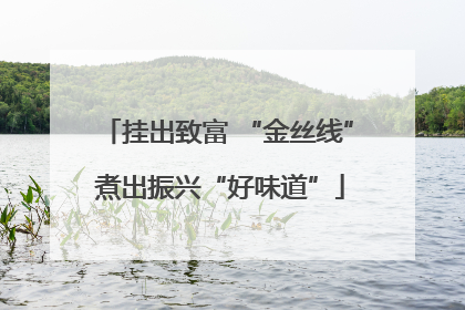 挂出致富 “金丝线” 煮出振兴“好味道”