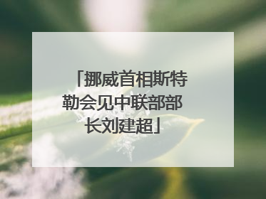 挪威首相斯特勒会见中联部部长刘建超