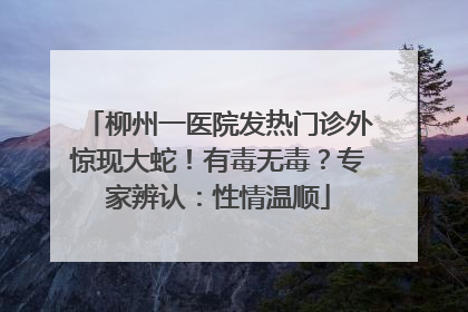 柳州一医院发热门诊外惊现大蛇！有毒无毒？专家辨认：性情温顺