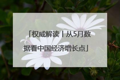权威解读丨从5月数据看中国经济增长点