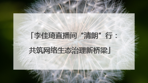 李佳琦直播间“清朗”行：共筑网络生态治理新桥梁