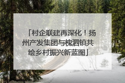 村企联建再深化！扬州产发集团与槐泗镇共绘乡村振兴新蓝图
