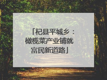 杞县平城乡：橄榄菜产业铺就富民新道路