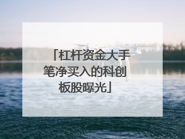 杠杆资金大手笔净买入的科创板股曝光