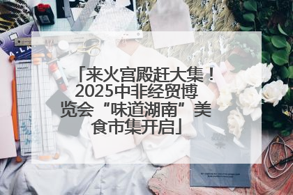 来火宫殿赶大集！2025中非经贸博览会“味道湖南”美食市集开启