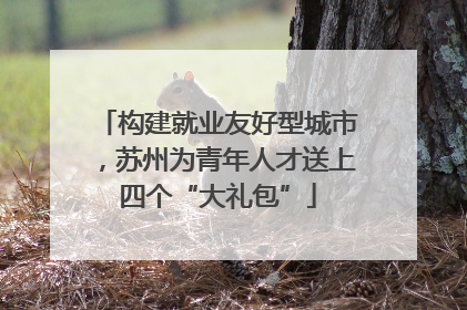 构建就业友好型城市，苏州为青年人才送上四个“大礼包”