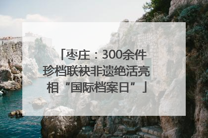 枣庄：300余件珍档联袂非遗绝活亮相“国际档案日”