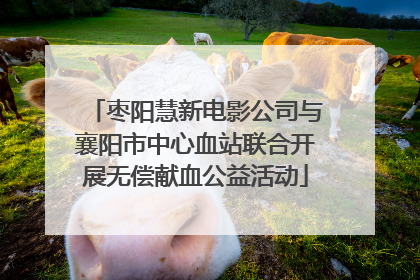 枣阳慧新电影公司与襄阳市中心血站联合开展无偿献血公益活动