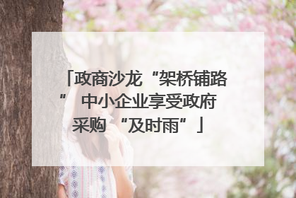 政商沙龙“架桥铺路” 中小企业享受政府采购 “及时雨”