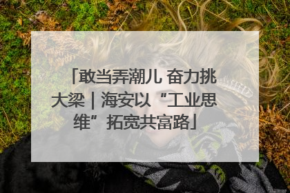 敢当弄潮儿 奋力挑大梁｜海安以“工业思维”拓宽共富路