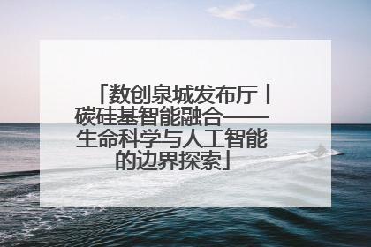 数创泉城发布厅丨碳硅基智能融合——生命科学与人工智能的边界探索