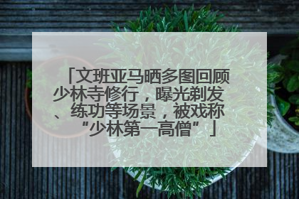 文班亚马晒多图回顾少林寺修行，曝光剃发、练功等场景，被戏称“少林第一高僧”