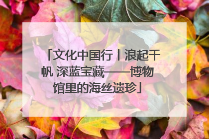 文化中国行丨浪起千帆 深蓝宝藏——博物馆里的海丝遗珍