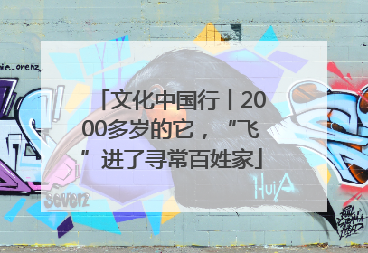 文化中国行丨2000多岁的它，“飞”进了寻常百姓家