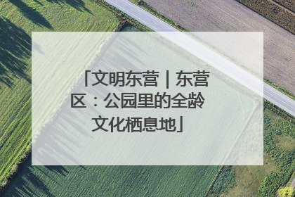 文明东营｜东营区：公园里的全龄文化栖息地
