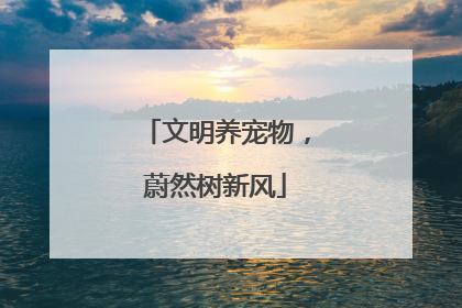 文明养宠物，蔚然树新风