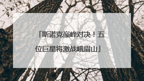 斯诺克巅峰对决！五位巨星将激战峨眉山