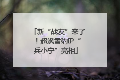 新“战友”来了！超飒雪豹IP“兵小宁”亮相
